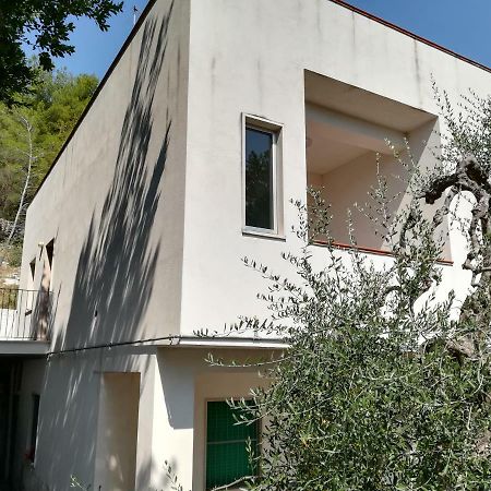 דירות פסקיצ'י Casa Vacanze Pizzone מראה חיצוני תמונה