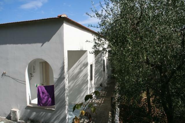 דירות פסקיצ'י Casa Vacanze Pizzone מראה חיצוני תמונה